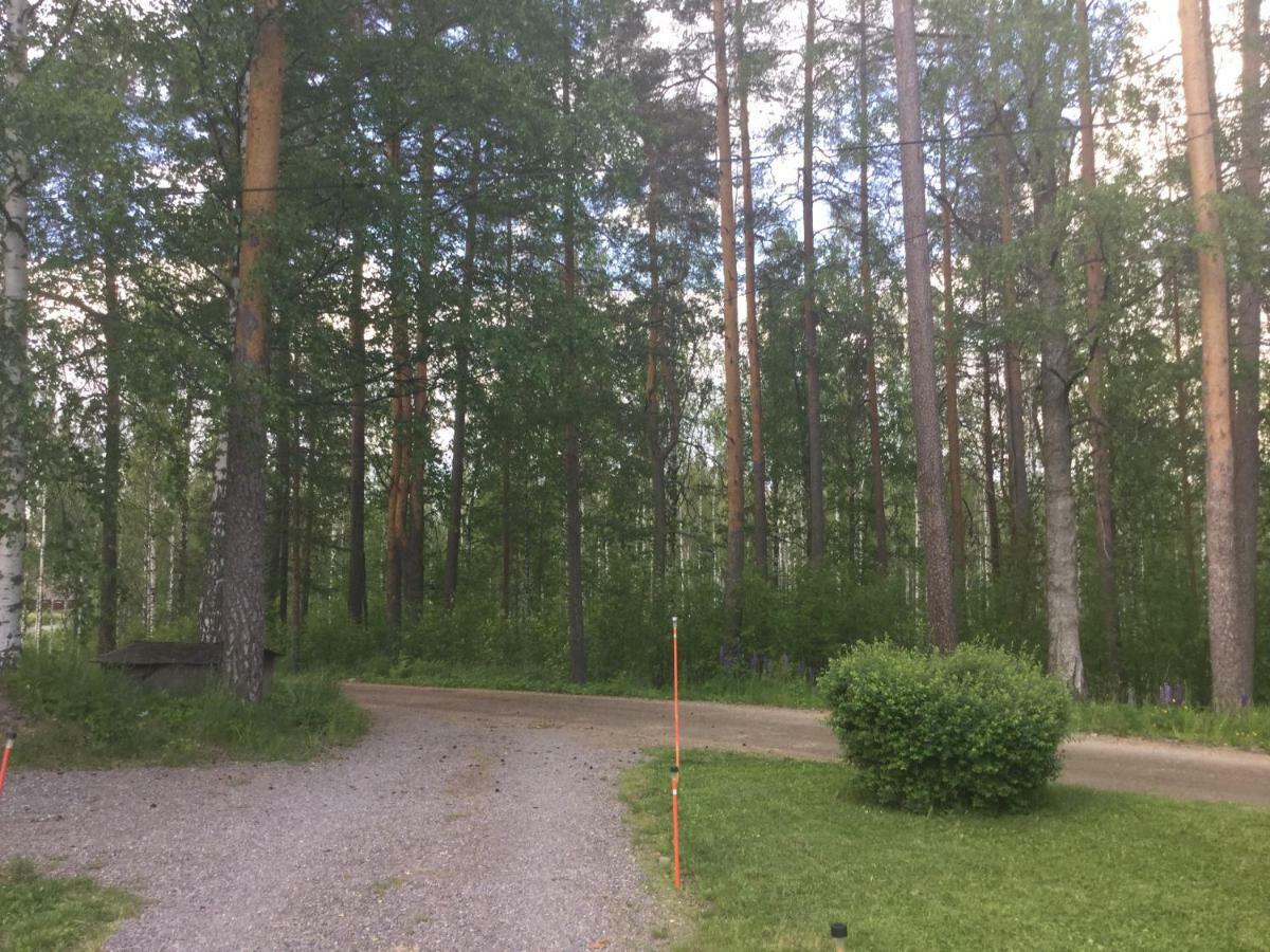 Mini-Mani Northern House Sorsakoski Eksteriør bilde